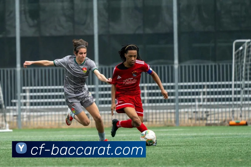 百家乐官网服务体系